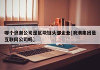 哪个浪潮公司是区块链头部企业[浪潮集团是互联网公司吗]