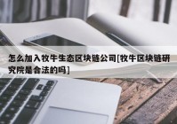 怎么加入牧牛生态区块链公司[牧牛区块链研究院是合法的吗]